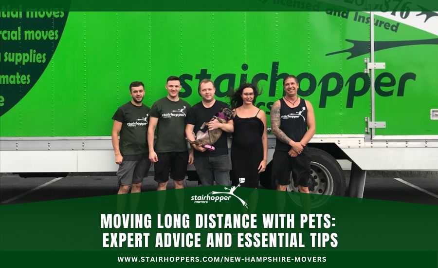 Moving Long Distance with Pets: Expert Advice and Essential Tips